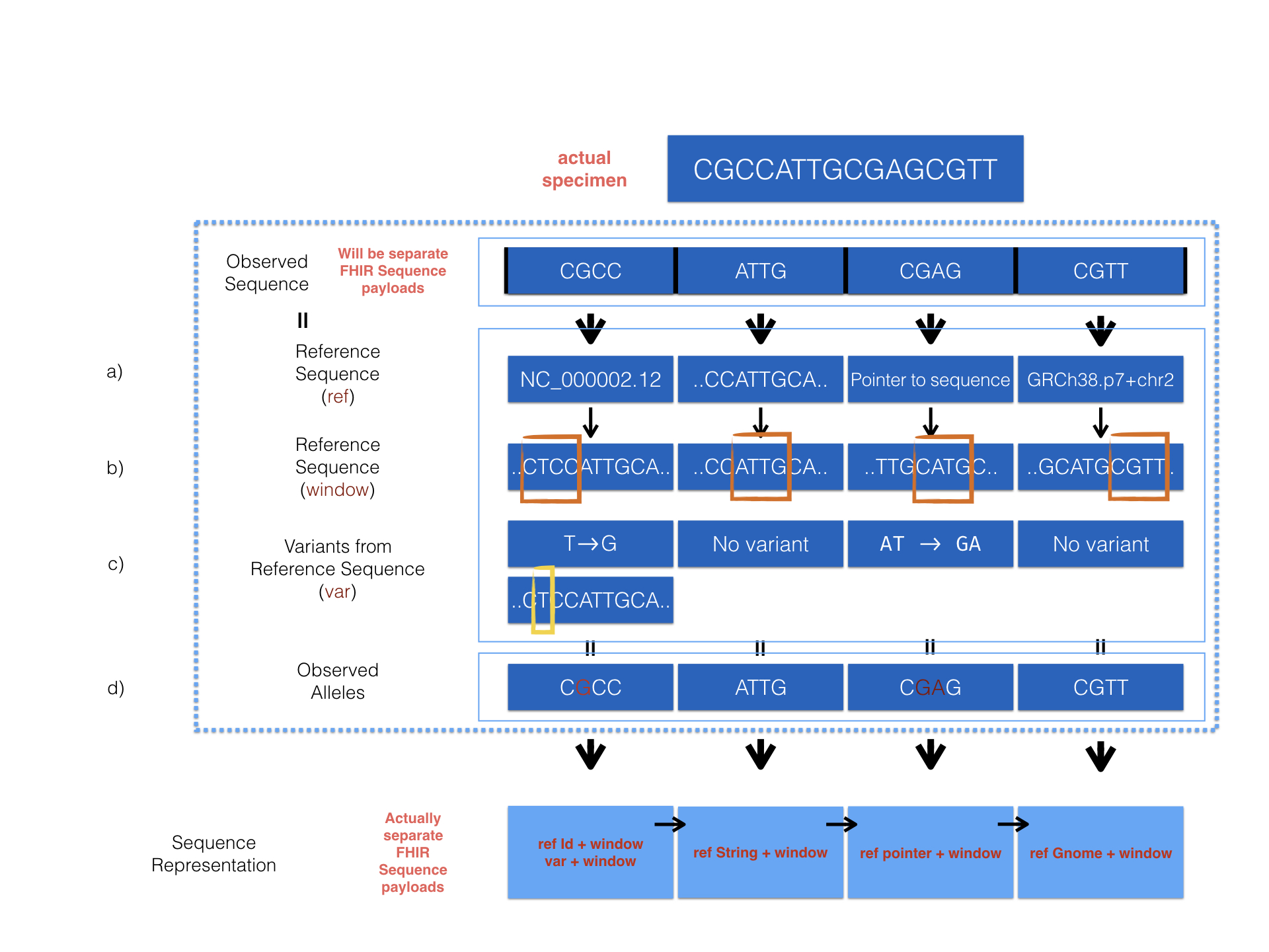 Sequence Graph